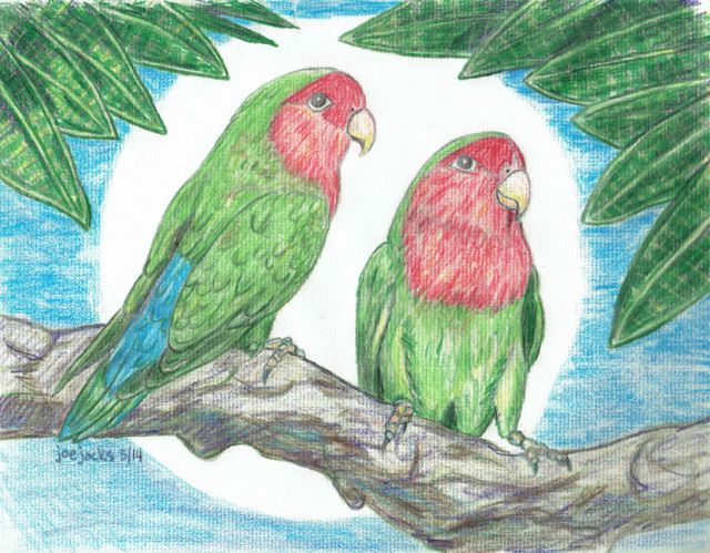 lovebirds003