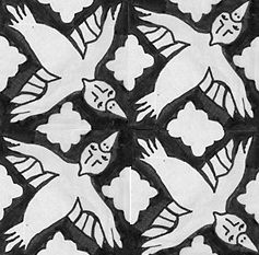 whitebirds