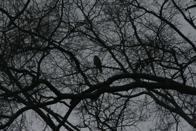 IMG_0034