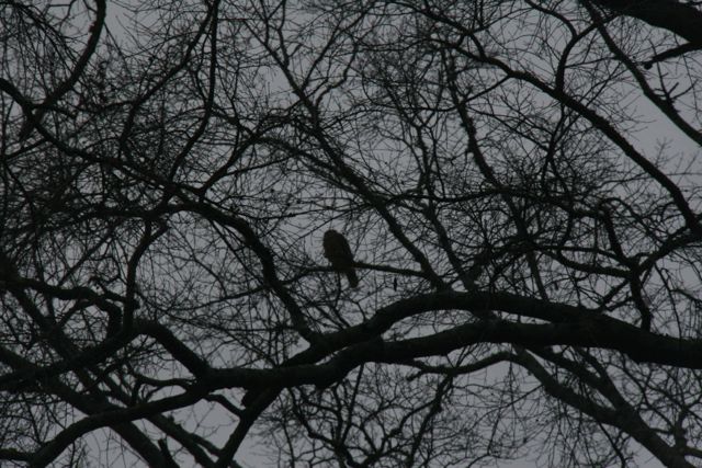 IMG_0033